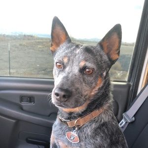 Meet your Posher, Emilio